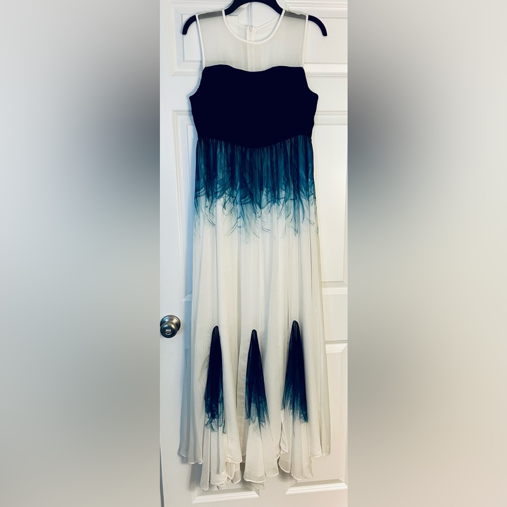 Gorgeous Black and Blue Ombre Dress